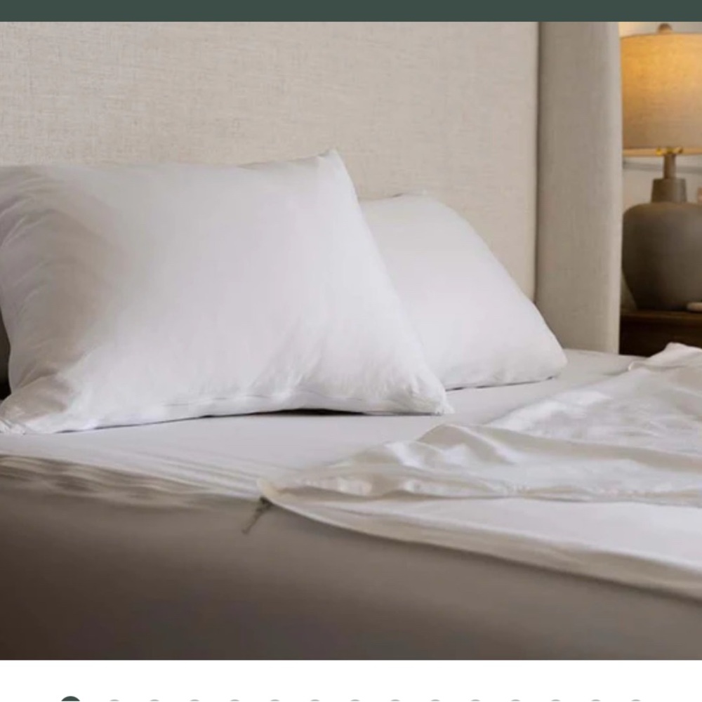 Beddys zippered sheets!